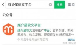 爆料视频怎么写文案呢,一窥事件背后真相